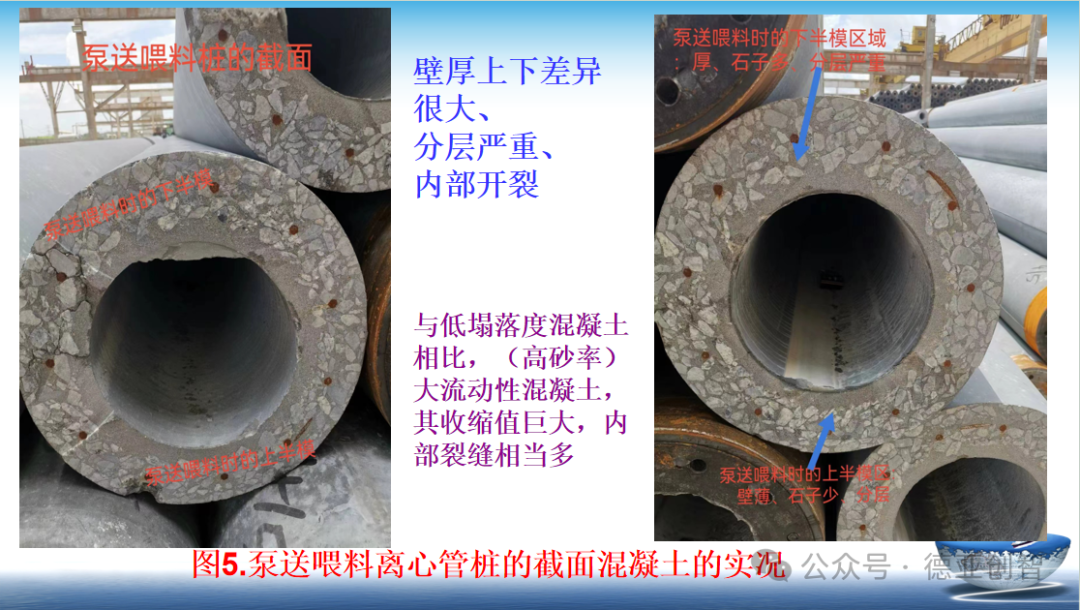 熊猫体育